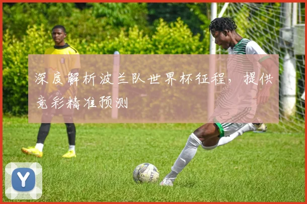 深度解析波兰队世界杯征程，提供竞彩精准预测