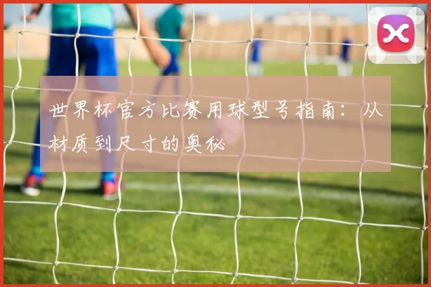 世界杯官方比赛用球型号指南：从材质到尺寸的奥秘