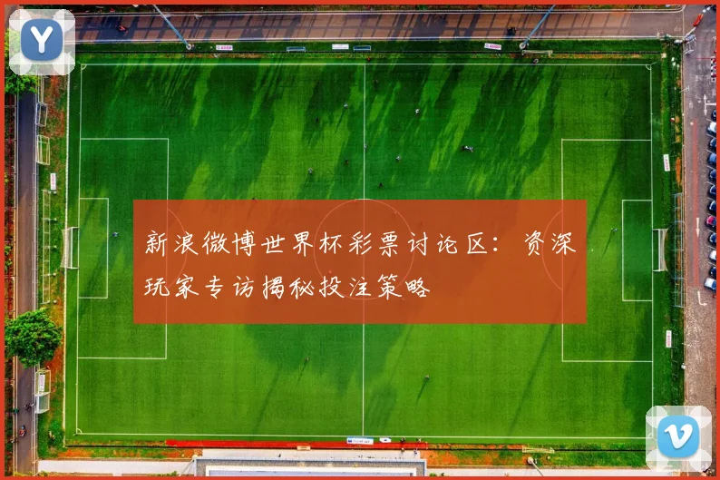 新浪微博世界杯彩票讨论区：资深玩家专访揭秘投注策略