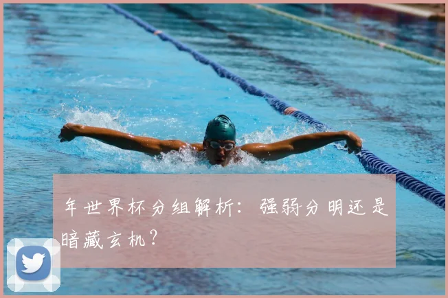 年世界杯分组解析：强弱分明还是暗藏玄机？
