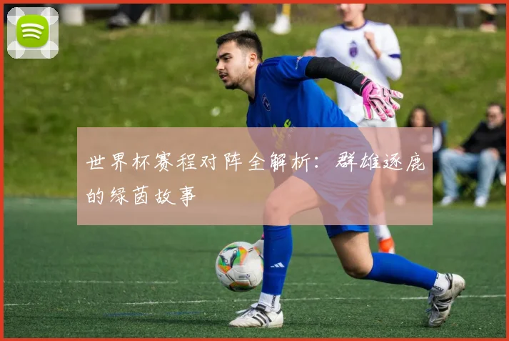 世界杯赛程对阵全解析：群雄逐鹿的绿茵故事